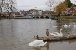 Photo 6- click for photo gallery